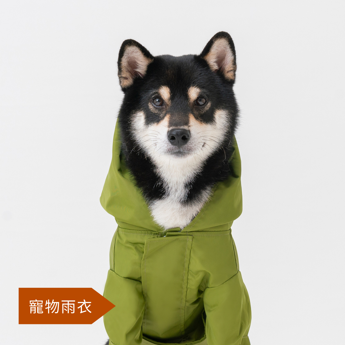 PEHOM ｜熱銷商品 TOP 3 - 寵物雨衣