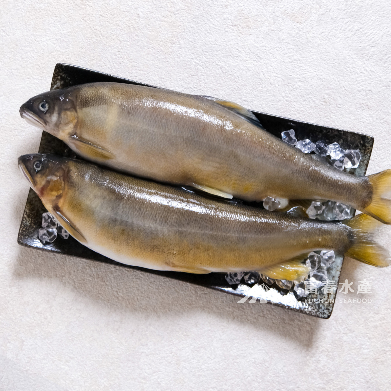 【巨無霸爆卵母香魚】2尾真空