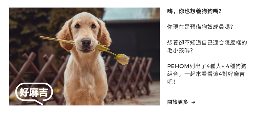 PEHOM｜部落格 - 嗨，你也想養狗嗎？