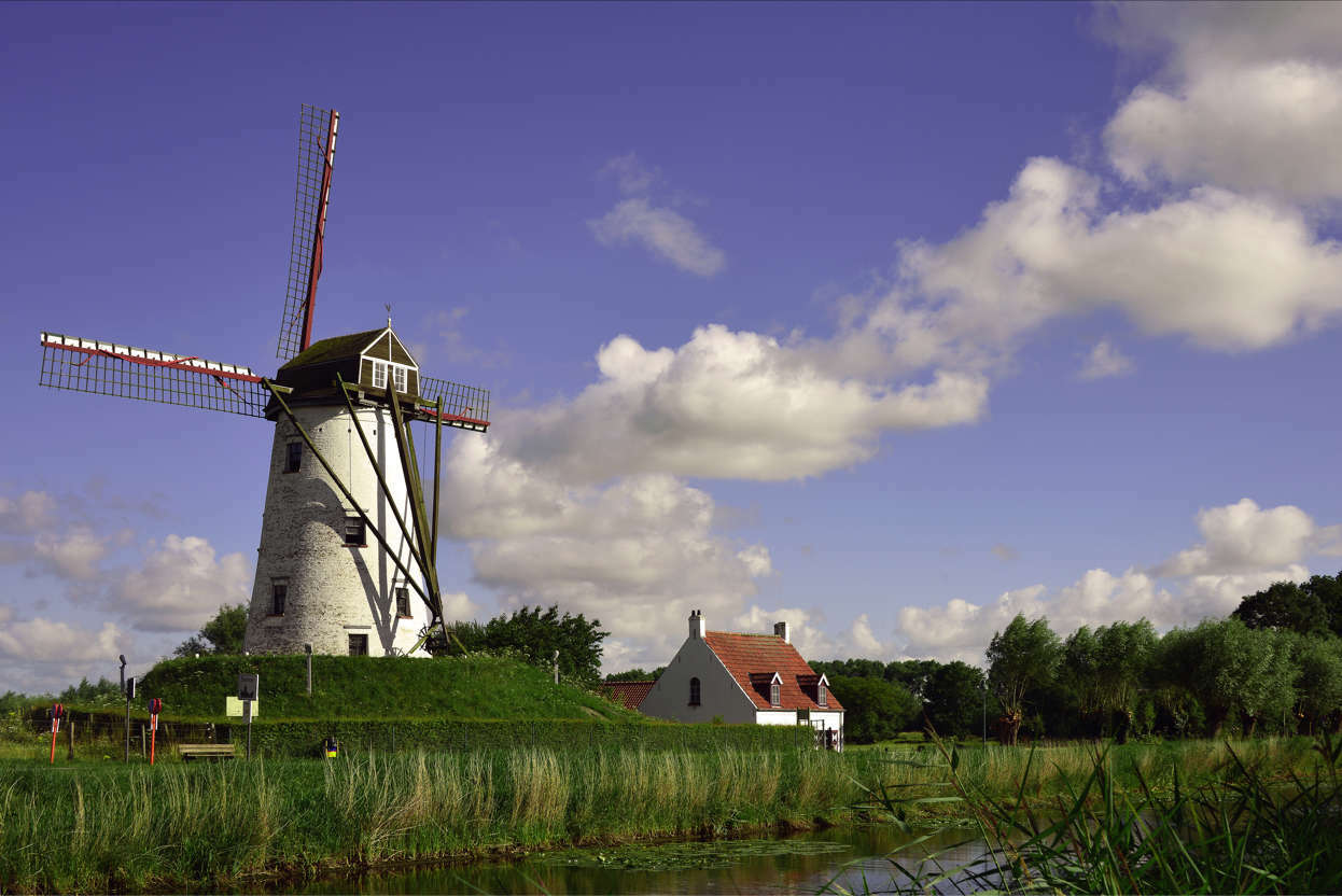 達默｜比利時 – PP1134