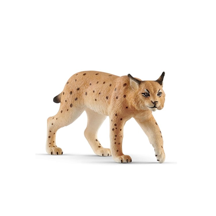 Lynx, Schleide, SC14822