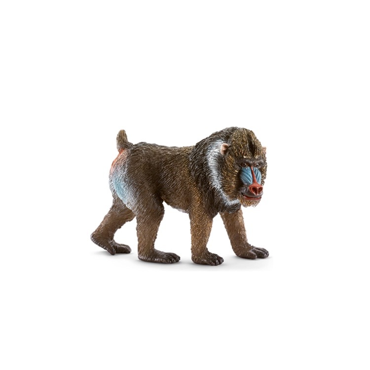 Mandrill (Male), Schleich, SC14715