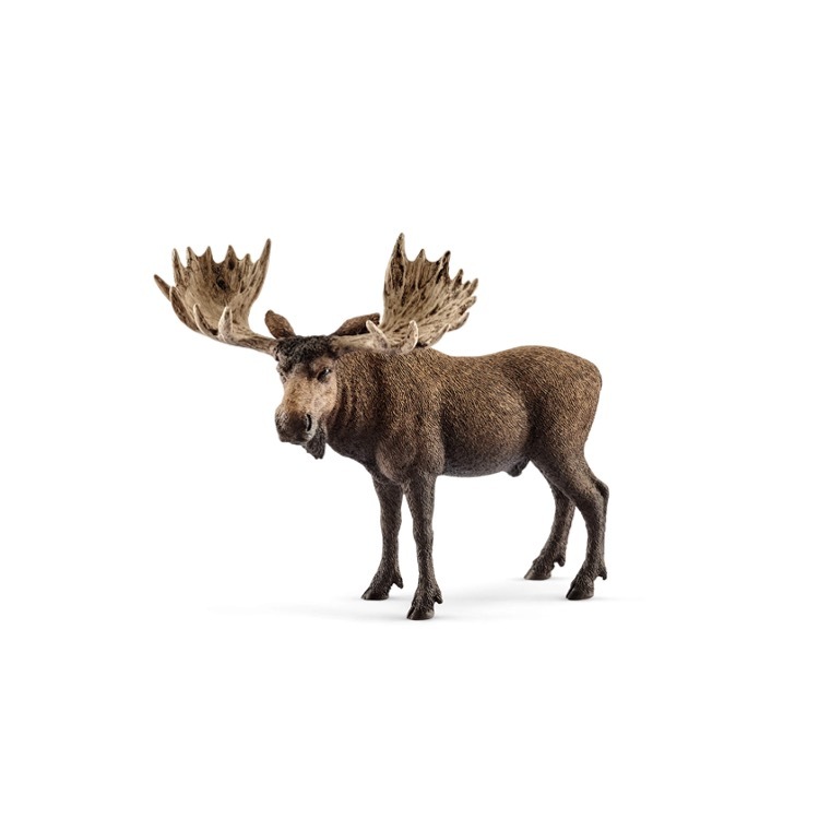 Moose Bull, Schleich, SC14781