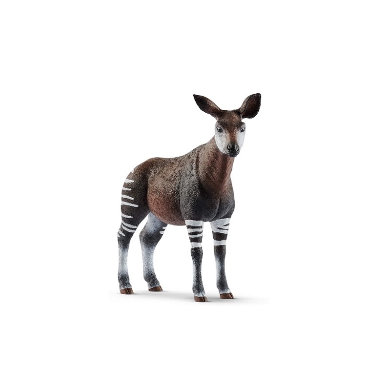 Okapi, Schleide, SC14830