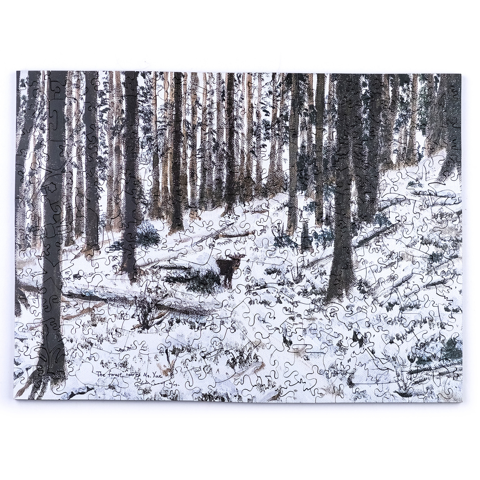 一年高山-Dec. 雪山黑森林