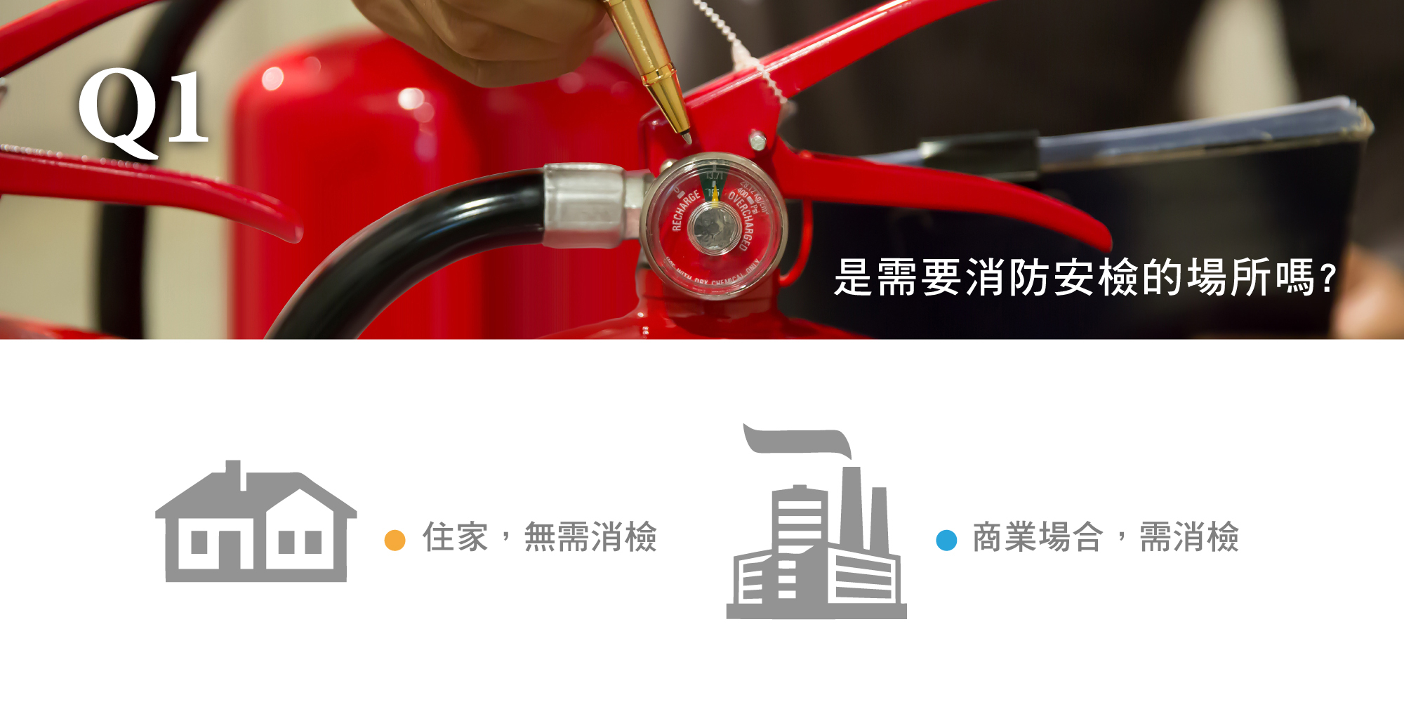 61周年慶購買攻略