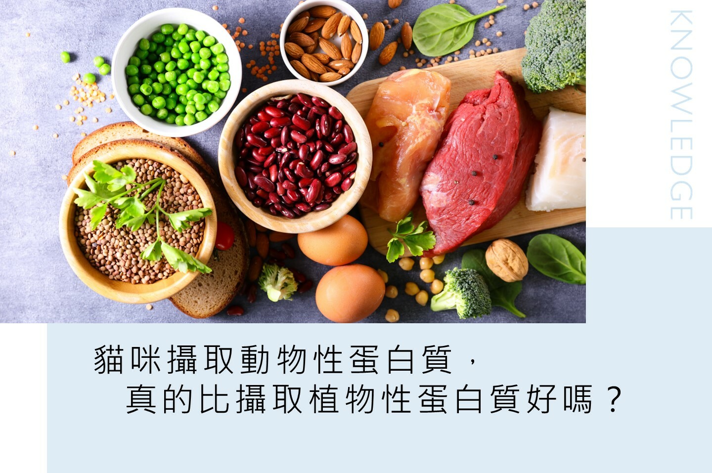 貓爾學院,動物性蛋白質,植物性蛋白質,牛磺酸,蛋白質