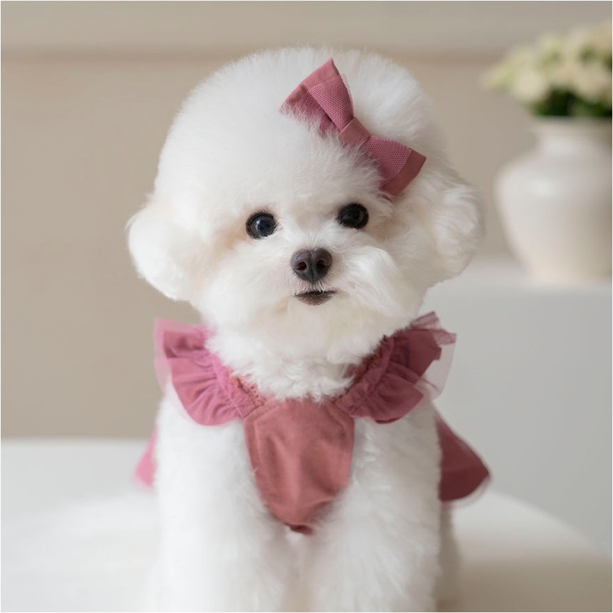 OPAAAP 蕾絲紗裙洋裝