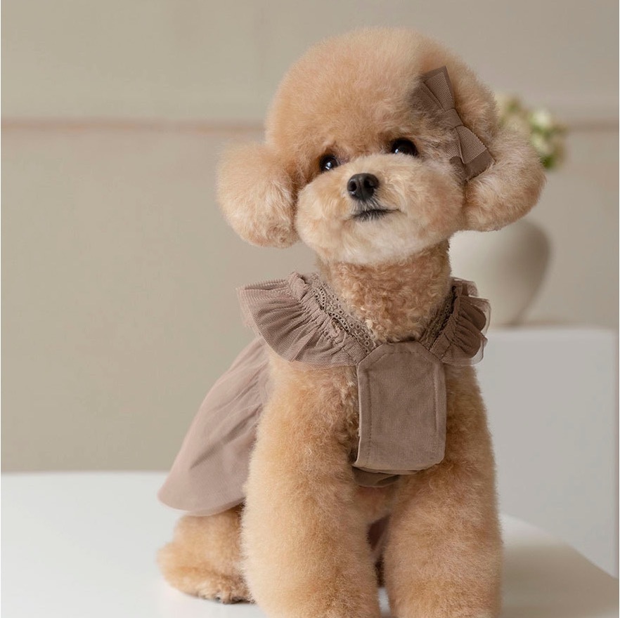 OPAAAP 蕾絲紗裙洋裝