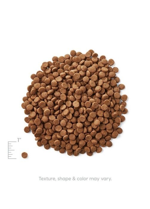 Solid Gold Indigo Moon Dry Cat Food - Alaskan Pollack & Eggs．3lb/12lb