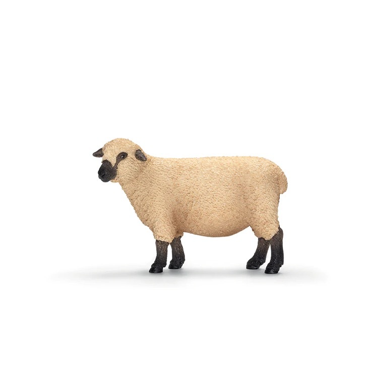 Shropshire Sheep, Schleich, SC13681