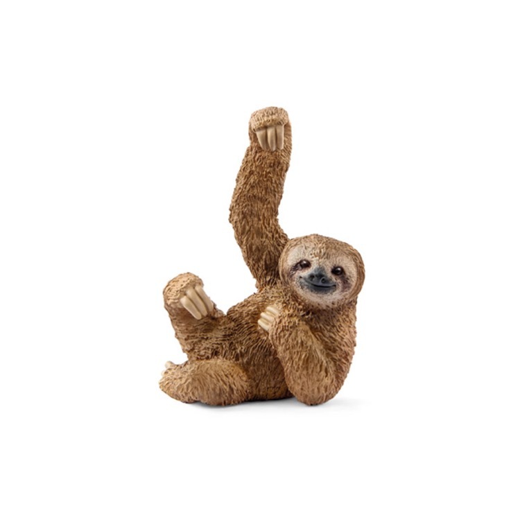 Sloth, Schleide, SC14793