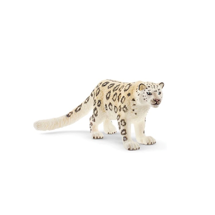 Snow Leopard, Schlech, SC14838