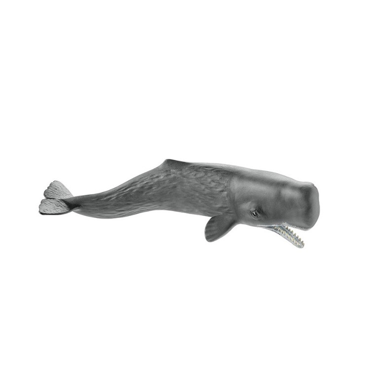 Sperm Whale, Schleich, SC14764