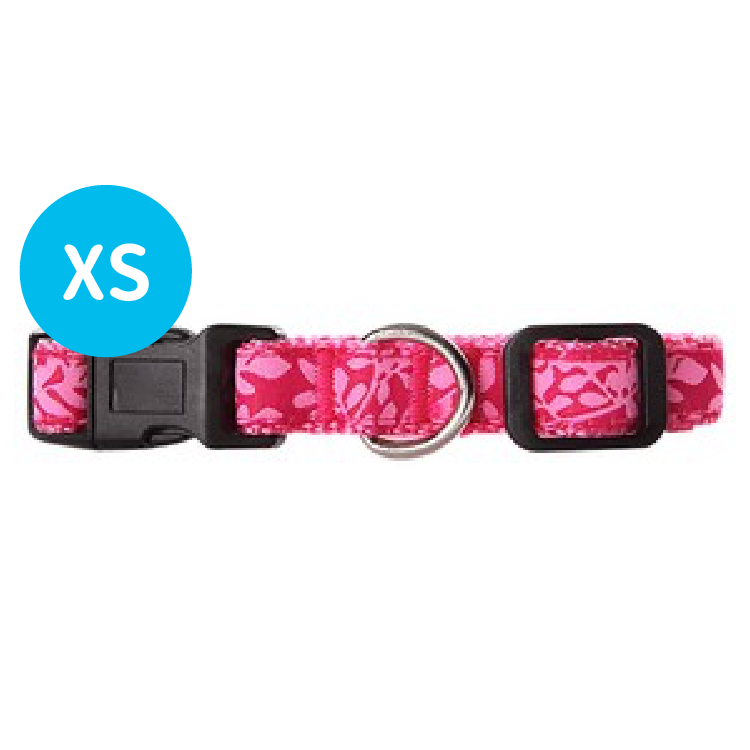 Pawise丨狗用頸帶-紅色樹葉 (XS) (15-25cm/10mm) (NO.13231)