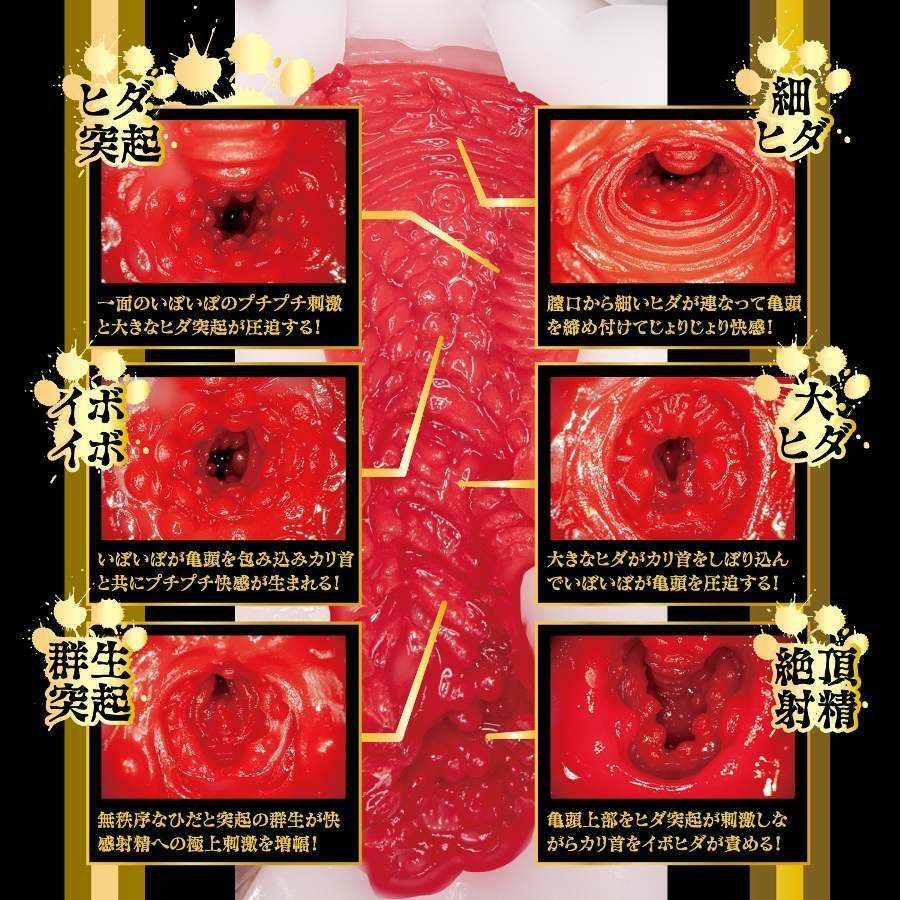 〔日本原裝進口〕NPG - 貓耳娘2 監禁飼育 松本一香 (松本いちか)