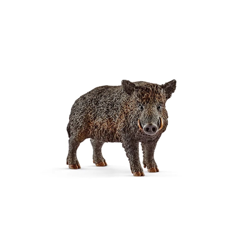Wild Boar, Schleich, SC14783