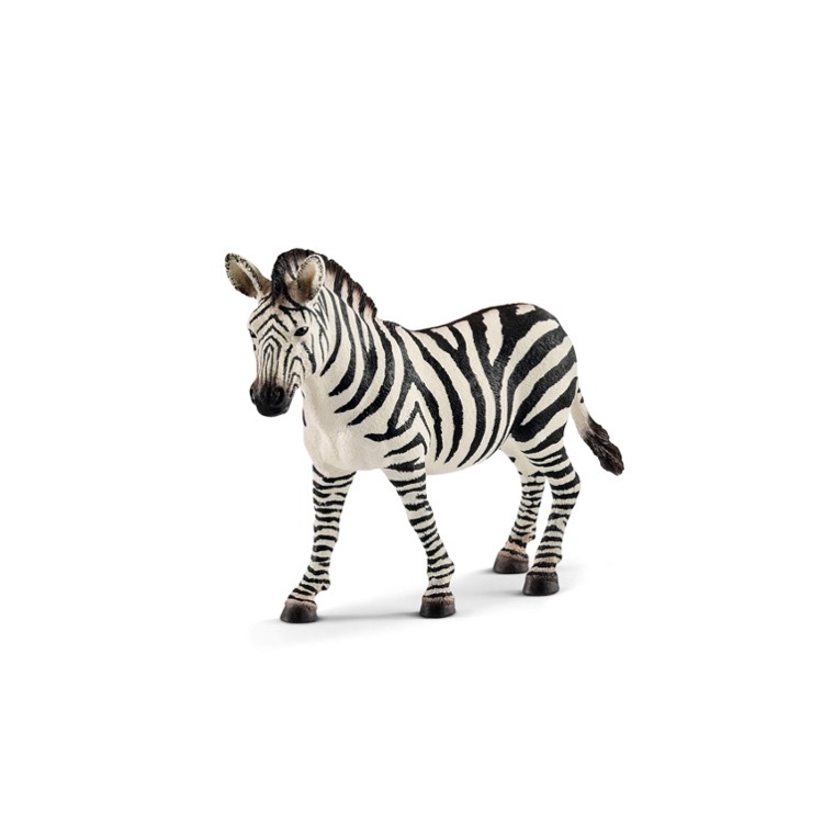 Zebra (Female), Schleide, SC14810