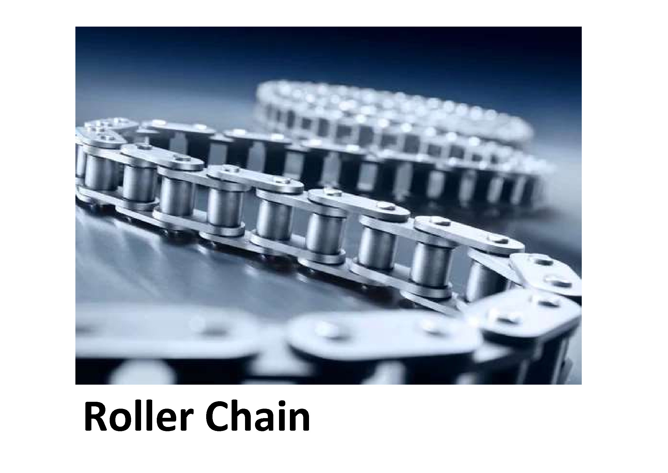 Transmission Roller Chain