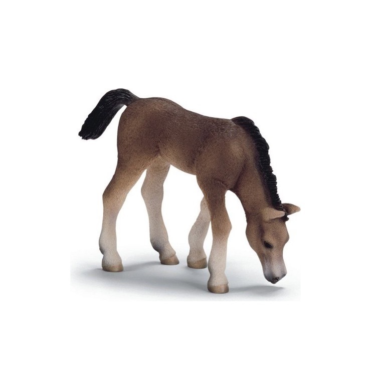 Arabian Foal (Grazing), Schleich, SC13652