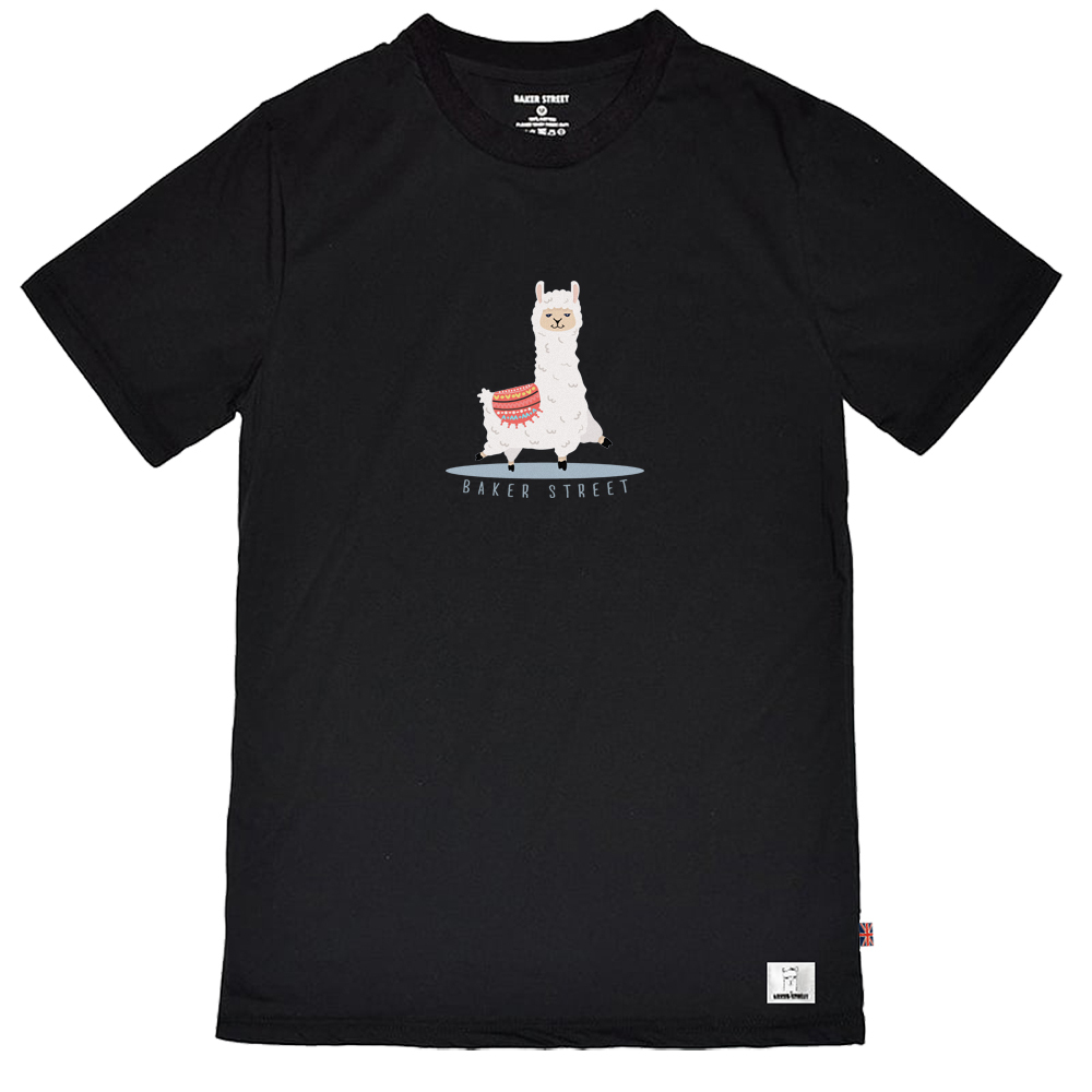 Andes Mts Alpaca 安地斯駝 短T