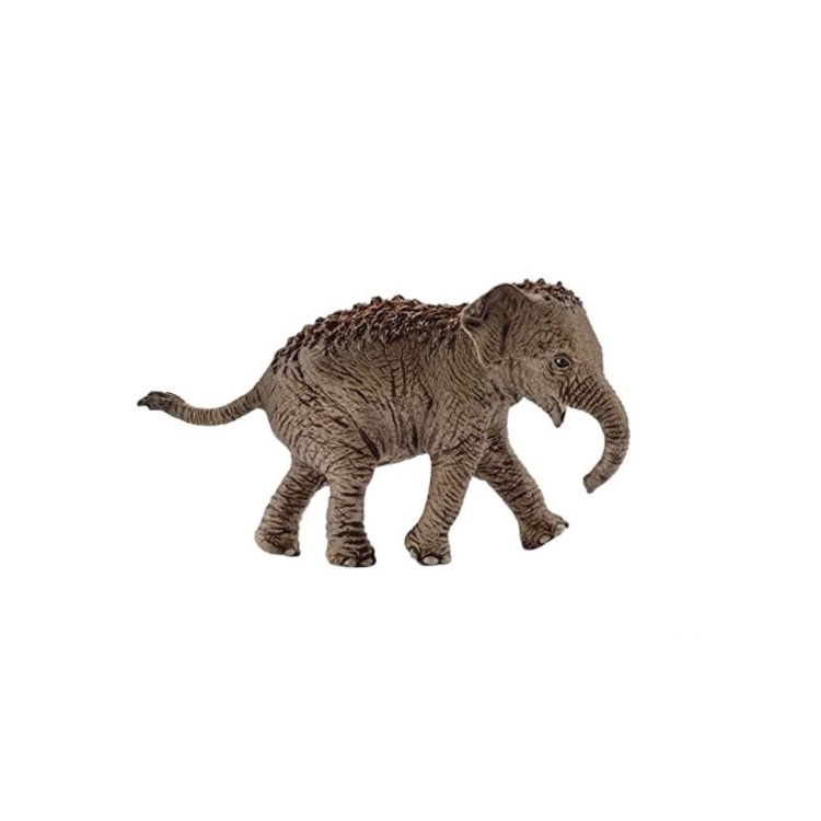 Asian Elephant Calf, Schleich, SC14755