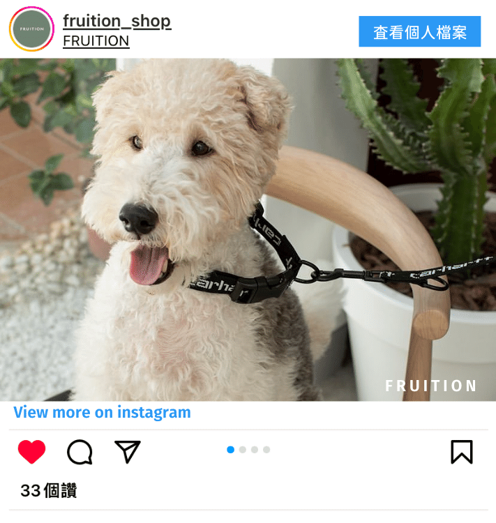 一隻狗狗坐在椅子上綁著Carhartt WIP 寵物牽繩在become咖啡廳