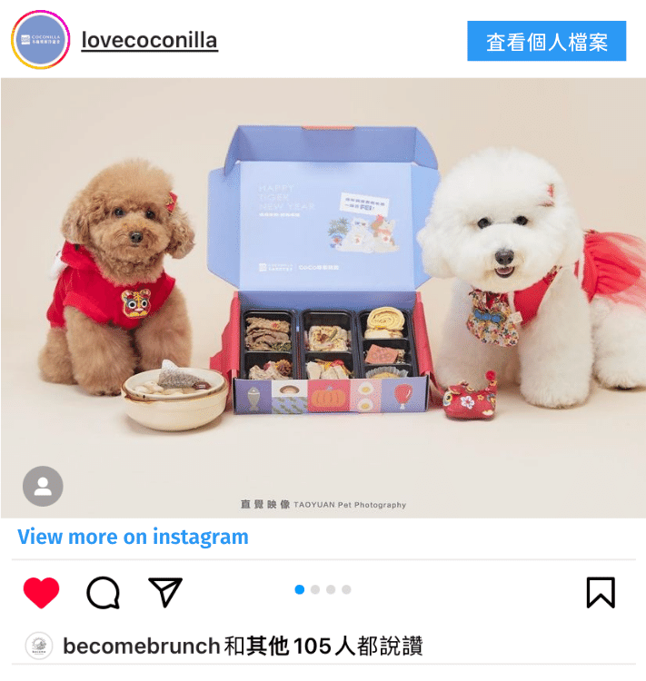 一隻紅貴賓和一隻西沙在lovecoconilla的鮮食禮盒前吃飯並有直覺映像拍攝沙龍照