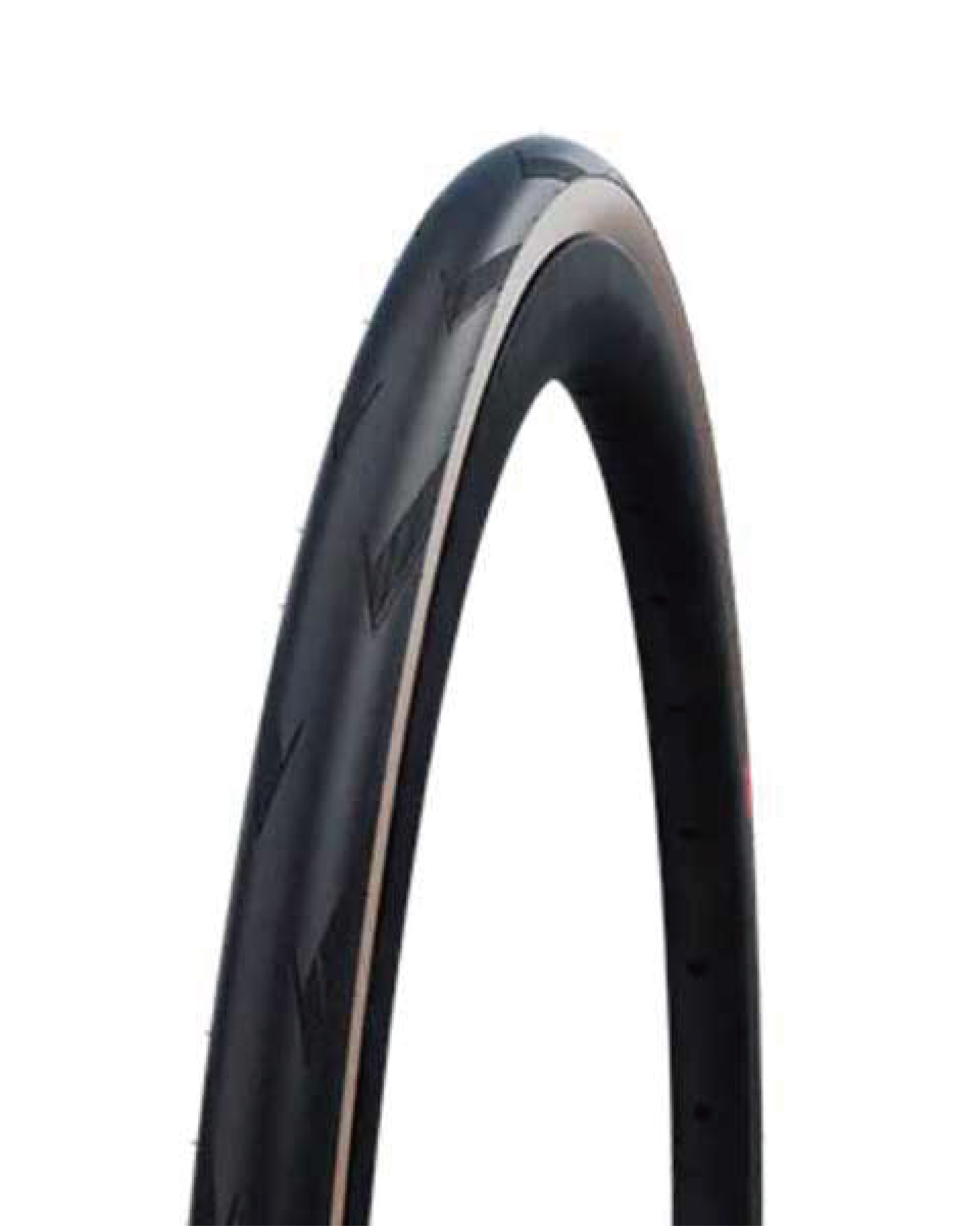 SCHWALBE】Pro One TLE 膚邊