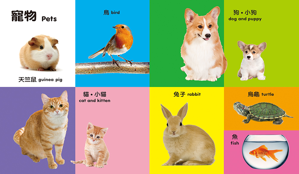 BABY 100認知圖鑑