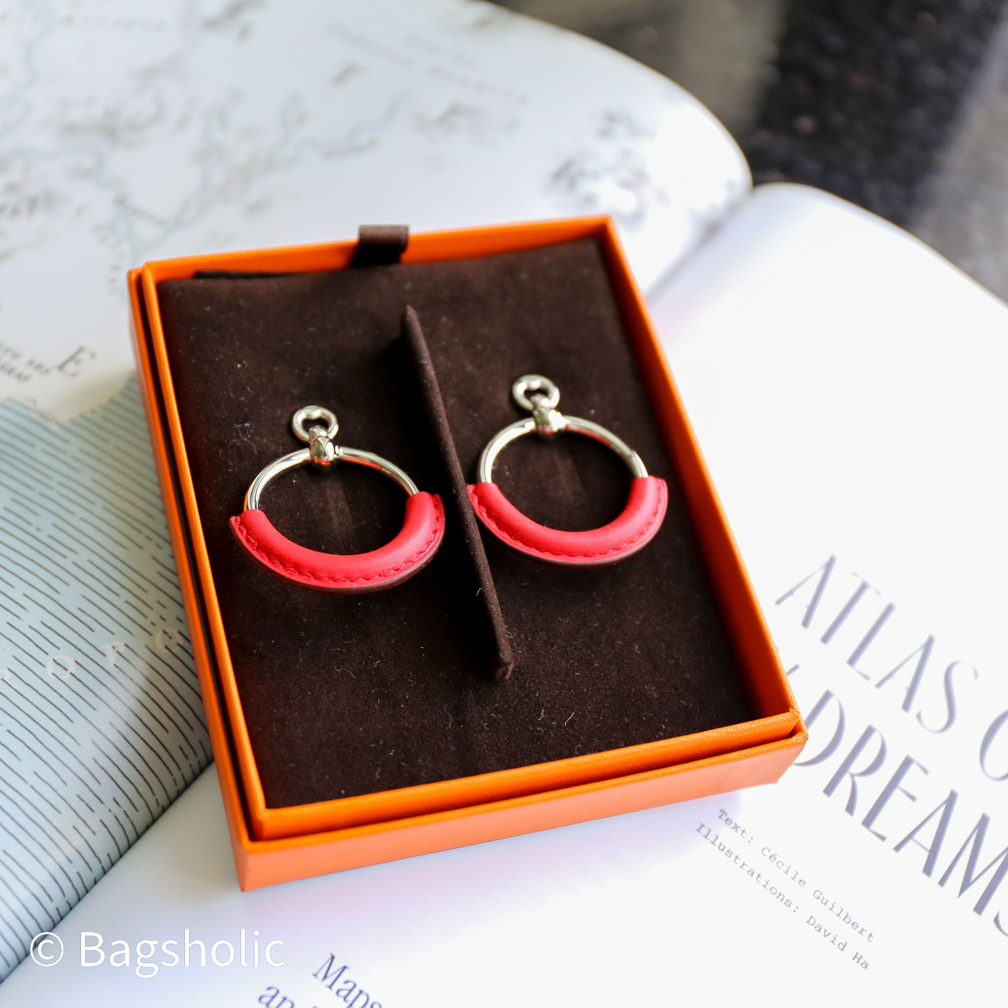 Hermès Loop earrings