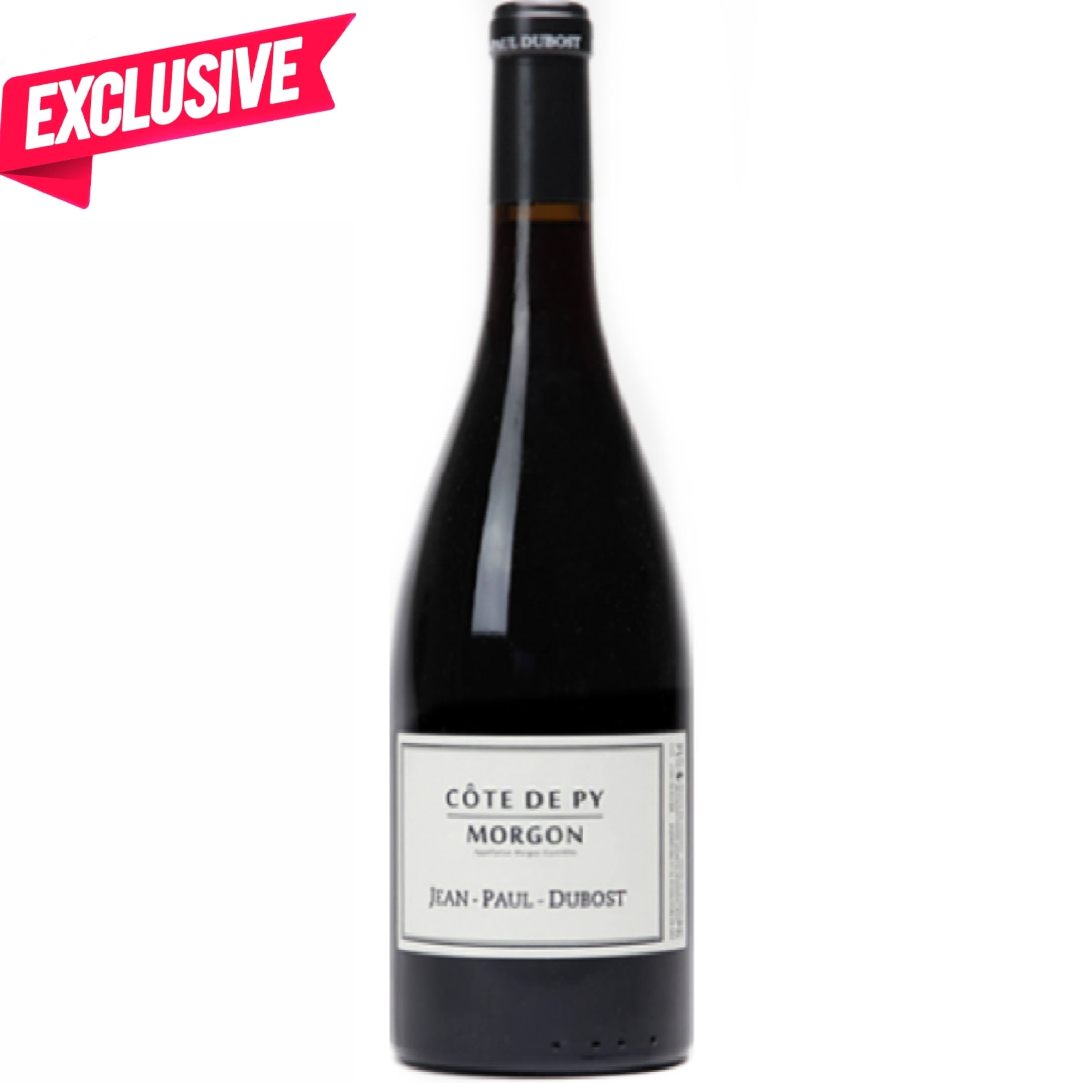 2020 Domaine Jean Paul Dubost Morgon Cote de Py