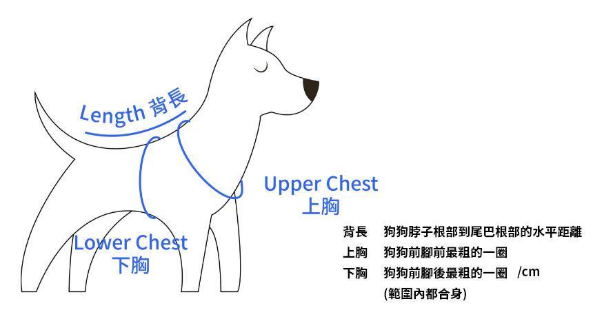 請測量狗狗的上胸。下胸。背長