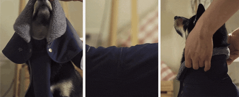 五秒快穿，無袖，疊片羽壓扣設計不夾毛，不夾手