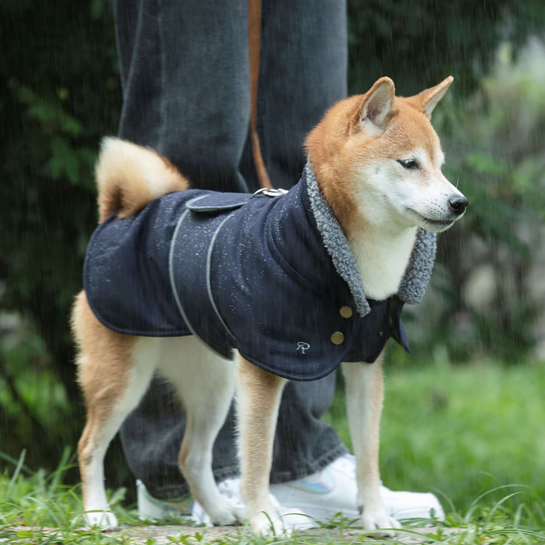 Brook系列機能外套- 山岳藍