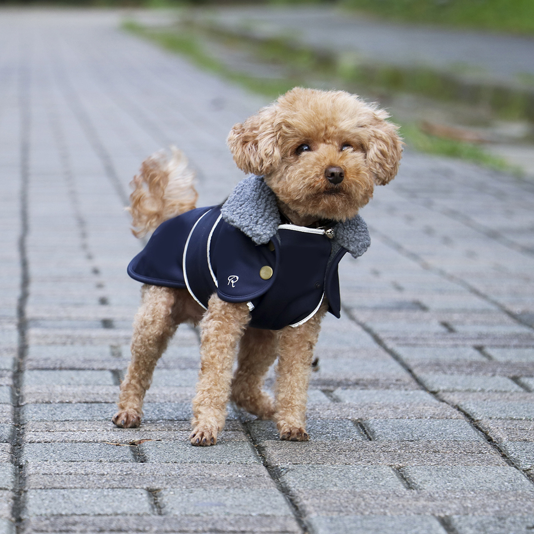Brook Waterproof Utility Jacket- Navy