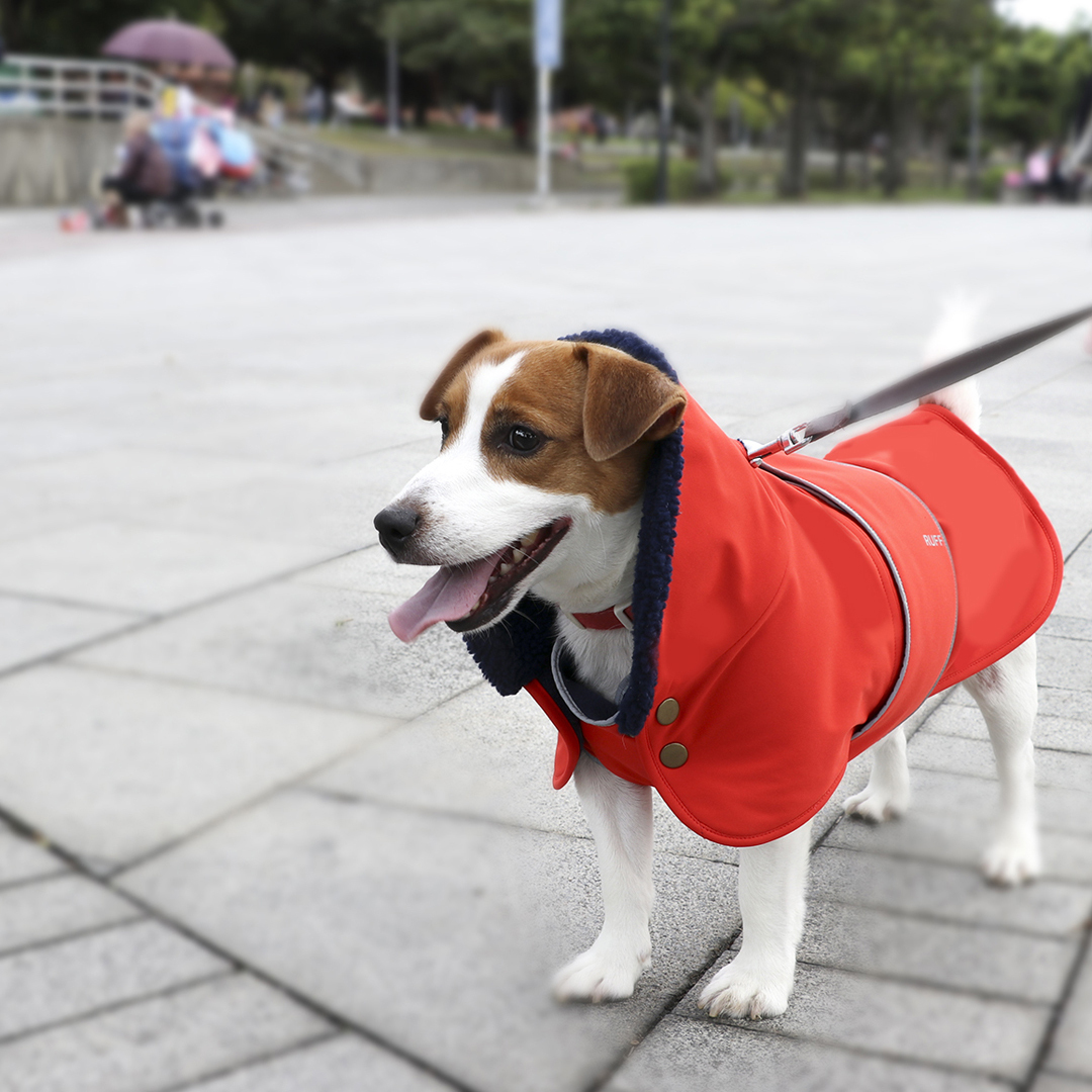 Brook Waterproof Utility Jacket- Orange