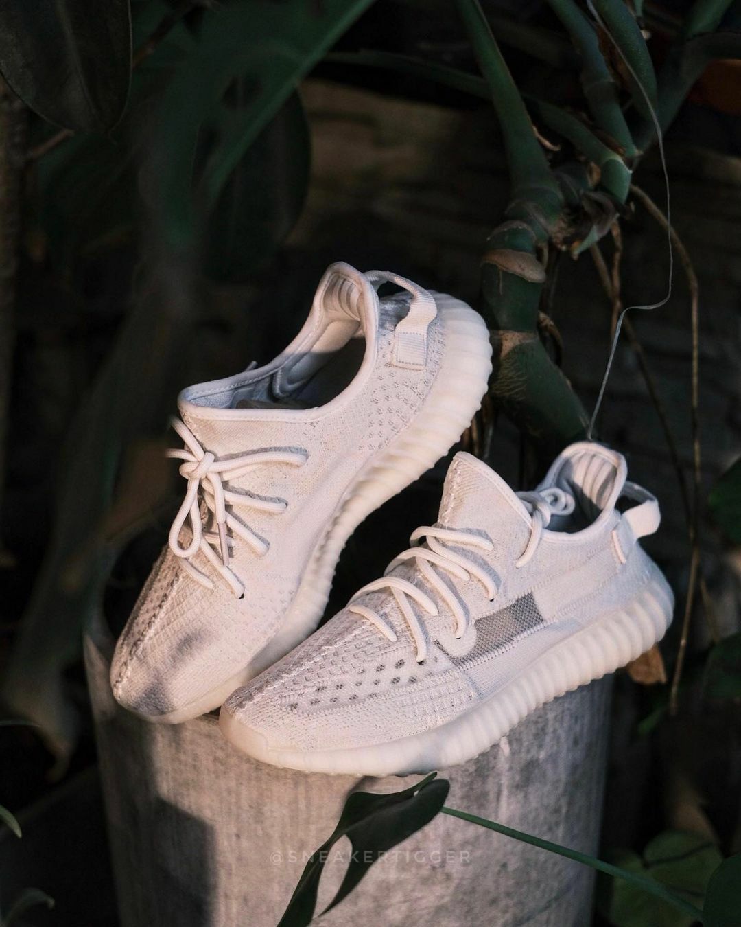 メール便不可】 27.5cm】adidas Yeezy Boost 350 V2 Bone - 靴