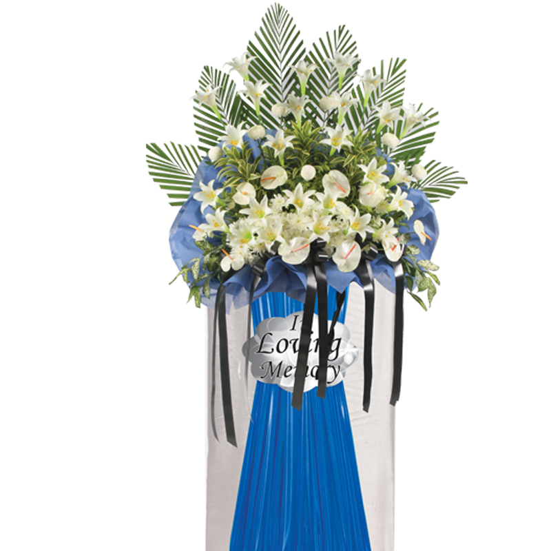 H186⭐⭐⭐⭐⭐member discount