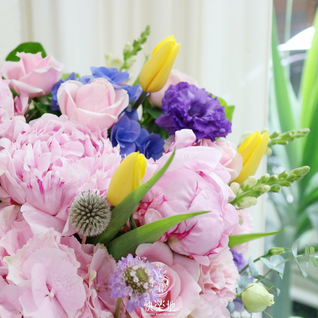 美好的總和 I 盆花  AF220808