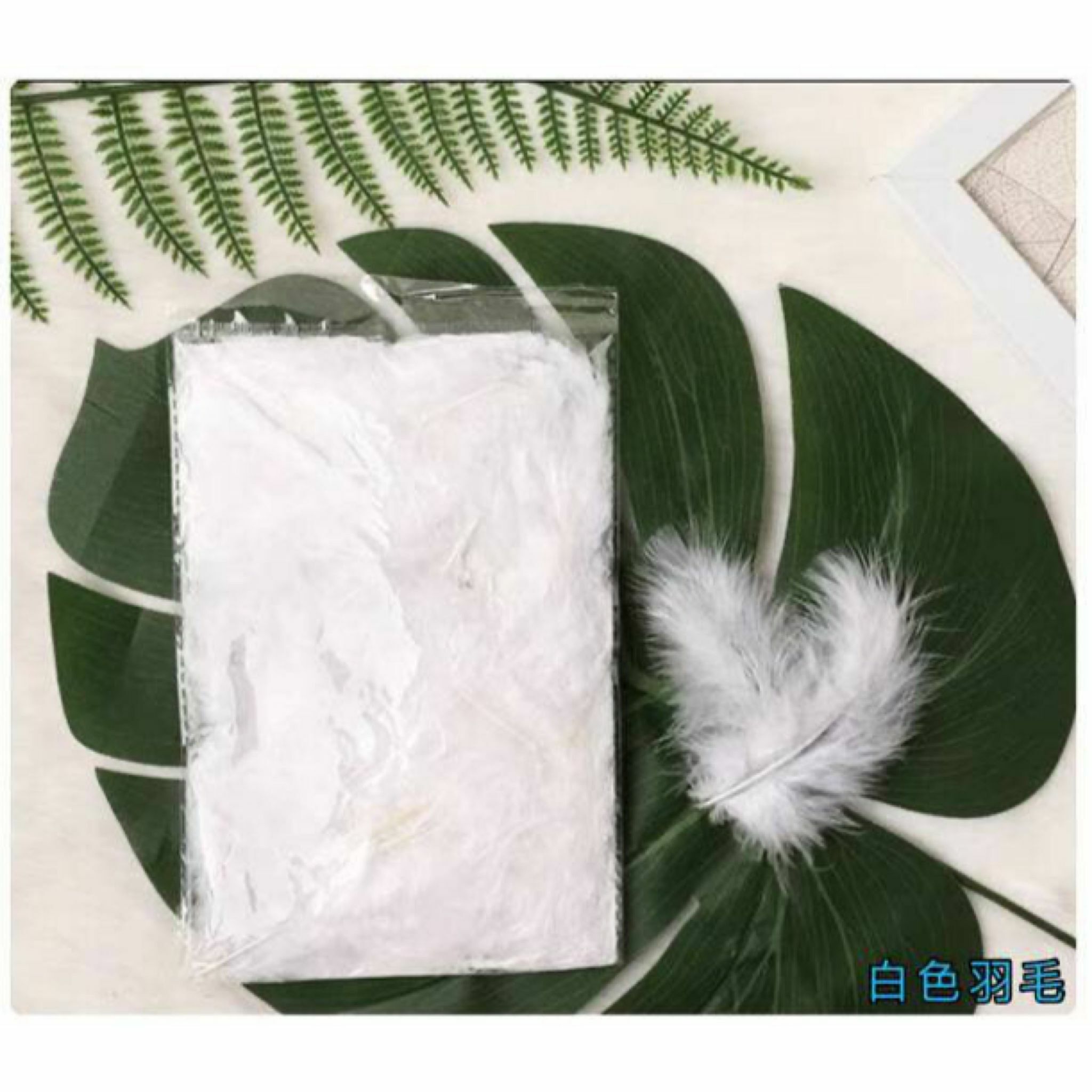 羽毛 👉現貨