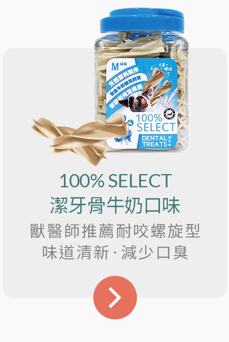 100% SELECT-潔牙骨牛奶口味