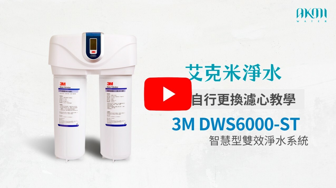 3M DWS6000-ST 換濾心