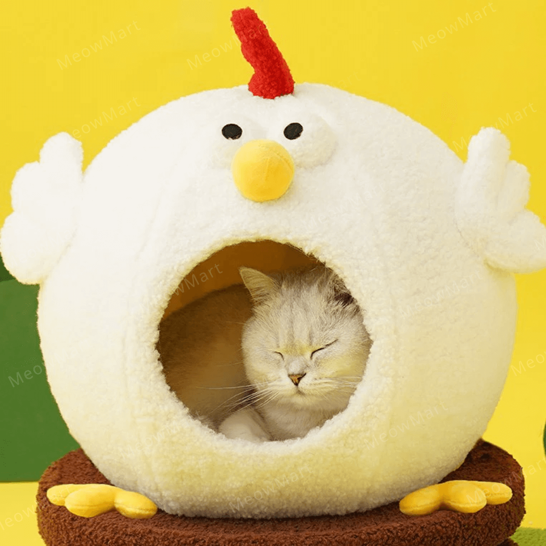 zeze 咕咕小雞貓窩