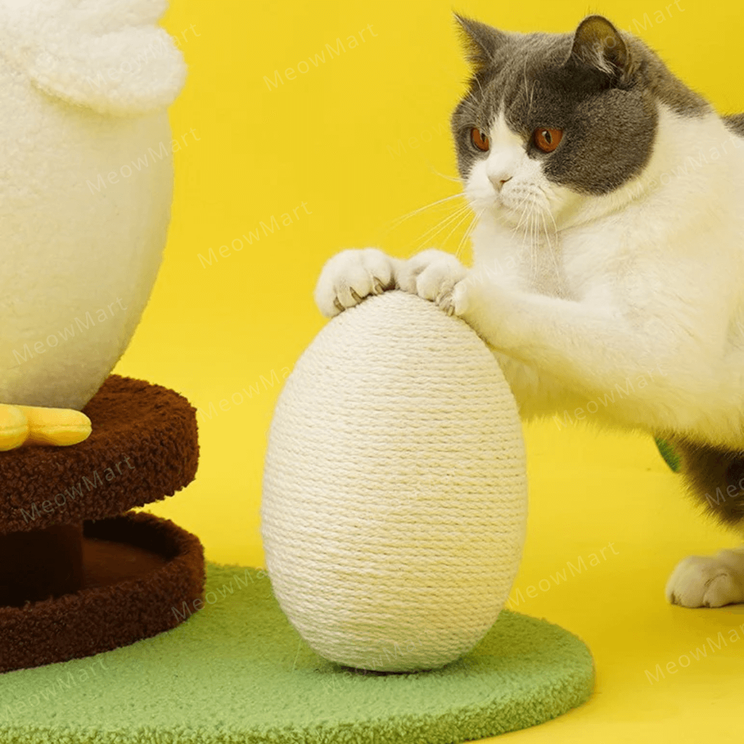 zeze 咕咕小雞貓窩