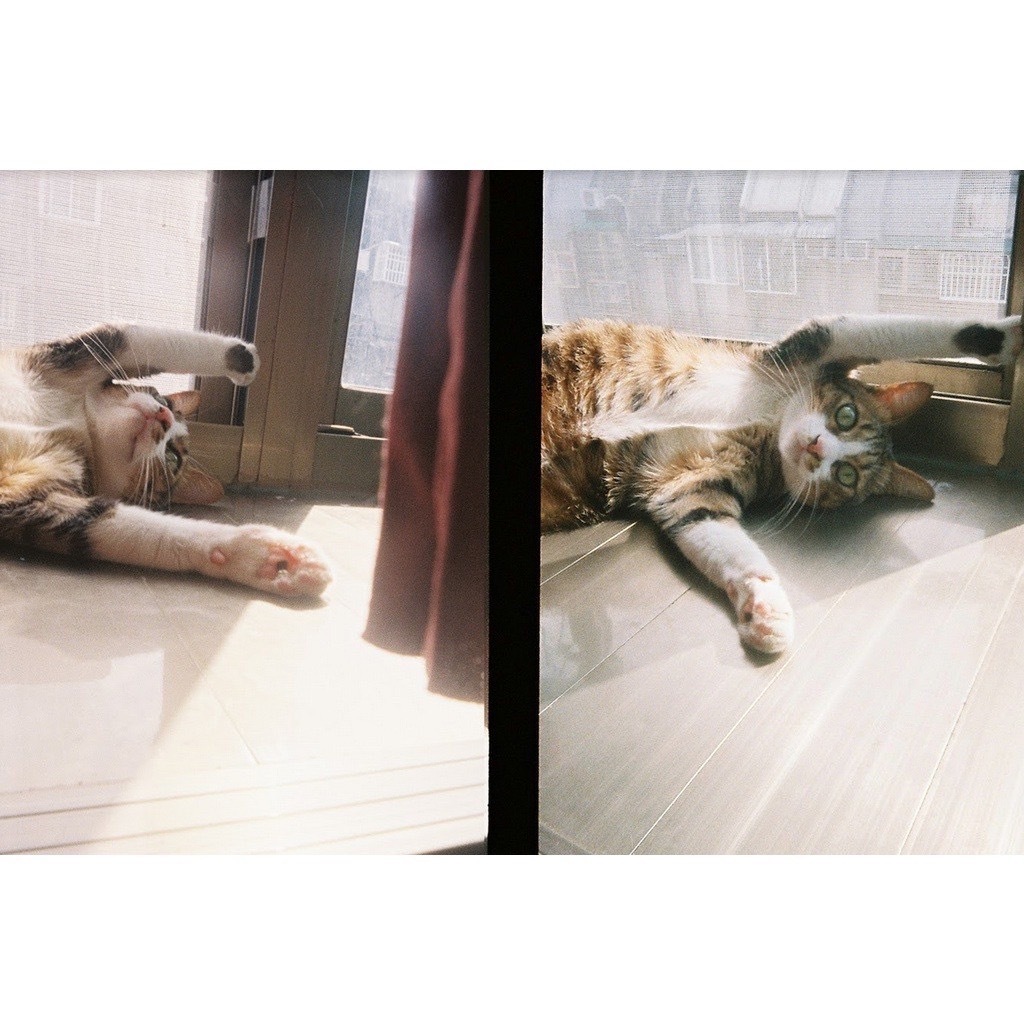 柯達 Kodak EKTAR H35 半格底片相機拍攝效果照