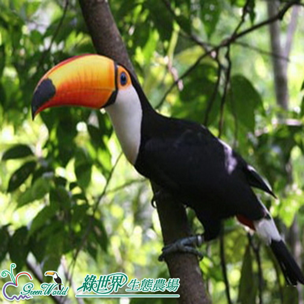 【新竹】綠世界生態農場門票