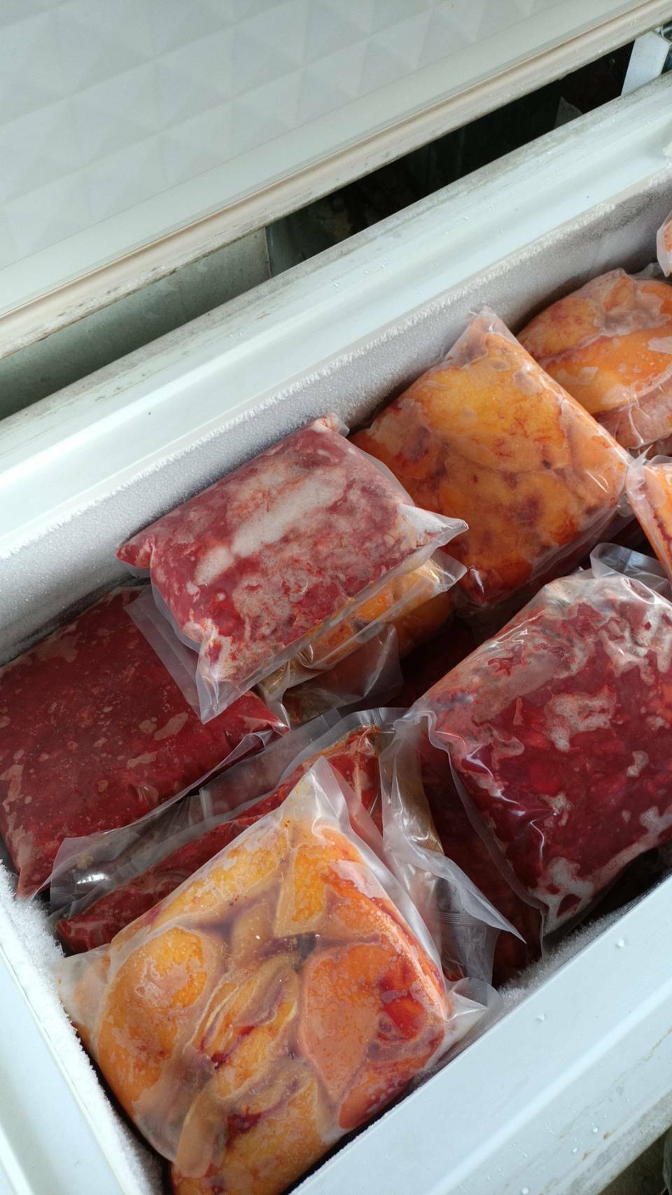 【當季 限量販售 】買一送一!!!木鱉果假種皮 可做創意料理