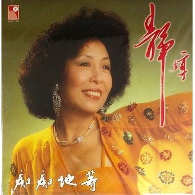 靜婷-痴痴地等 復黑版