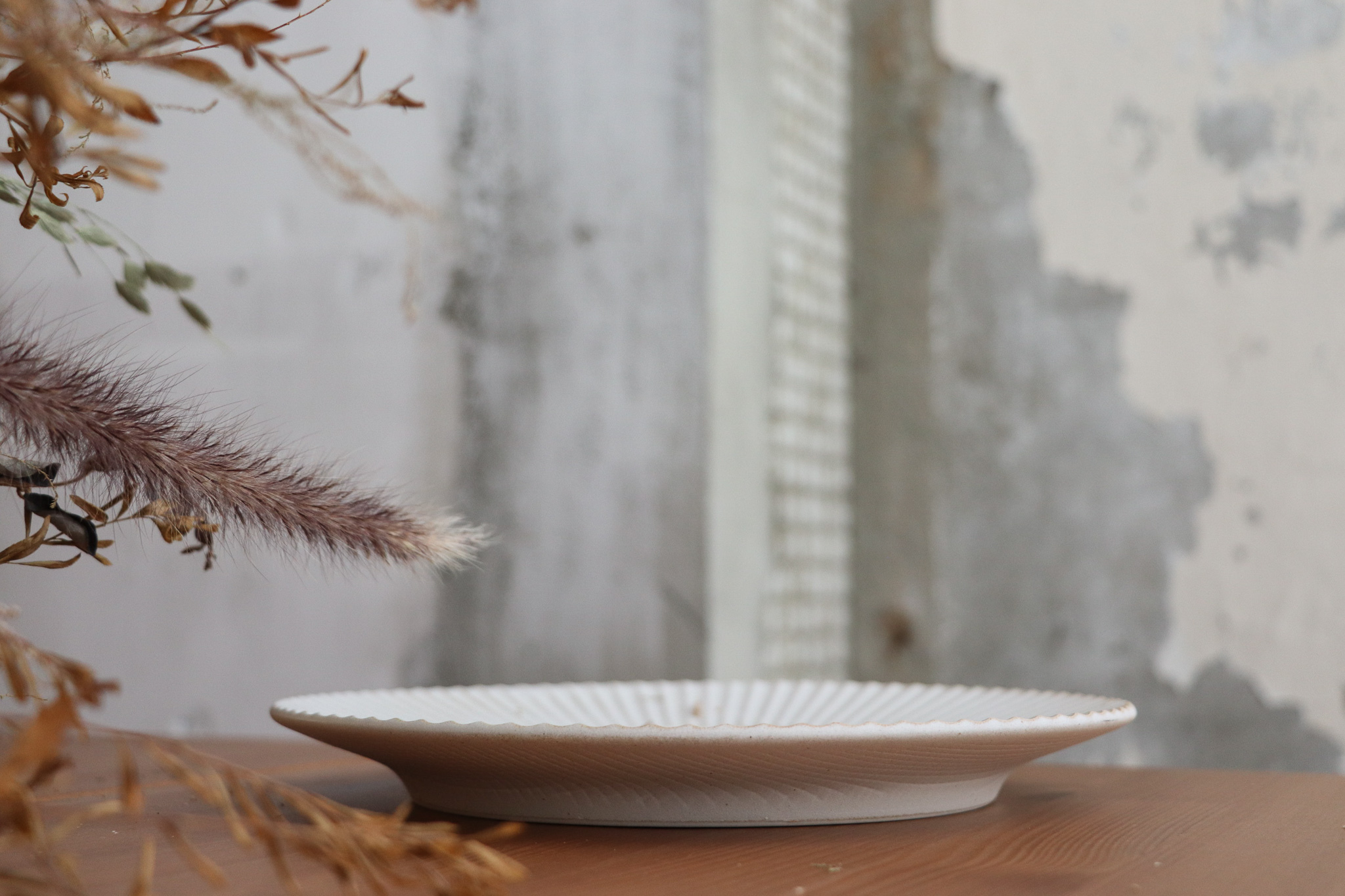 美濃燒 華蝶扇 刻紋圓皿